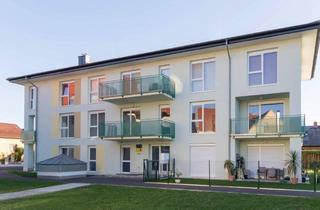 Wohnung mieten in Lange Gasse 13, 2821 Lanzenkirchen, Südostseitige Gartenwohnung in ruhiger Lage