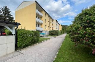 Wohnung kaufen in 2732 Würflach, Gemütliche Wohnung mit moderner Küche - TOP 5 - Nahe dem Wander- und Erholungsgebiet Hohe Wand