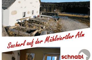 Haus kaufen in Schöneben, 4252 Liebenau, Sacherl auf der Mühlviertler Alm