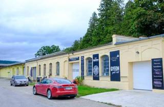 Gewerbeimmobilie mieten in Fabrikstraße, 3381 Golling, Golling, Fabrikstraße, Kinasthalle, Lager oder Werkstatt