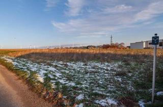 Grundstück zu kaufen in 7100 Neusiedl am See, 807 m² großes Baugrundstück in ruhiger Wohnlage von Neusiedl am See