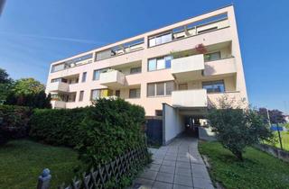 Wohnung kaufen in 2020 Hollabrunn, PROVISIONSFREIE, TRAUMHAFTE, SEHR GEPFLEGTE 3-ZIMMER-TERRASSENWOHNUNG IN TOPLAGE IM ZENTRUM