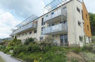 Wohnung mieten in Gmoosweg 4/1, 8243 Pinggau, PROVISIONSFREI - Pinggau - geförderte Miete ODER geförderte Miete mit Kaufoption - 2 Zimmer