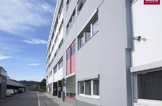 Büro zu mieten in 2351 Wiener Neudorf, Modernes Büro in Wr. Neudorf