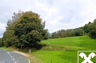 Grundstück zu kaufen in 9072 Ludmannsdorf, Wiese und Wald Nähe Ludmannsdorf