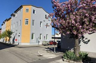 Anlageobjekt in Ortskern, 2353 Guntramsdorf, Modernisiertes Zinshaus im Wohnungseigentum