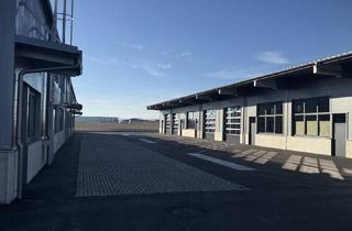 Gewerbeimmobilie mieten in Gewerbepark B17 / Ii / Straße 3 / Objekt 11, 2524 Teesdorf, NEUBAU B17: High-End Gewerbehalle (154-400m²) - Fußbodenheizung und PV - Erstbezug