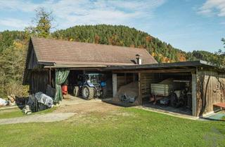 Gewerbeimmobilie kaufen in 9220 Fahrendorf, Velden am Wörthersee: Verwirklichen Sie sich Ihren Bauernhofstraum