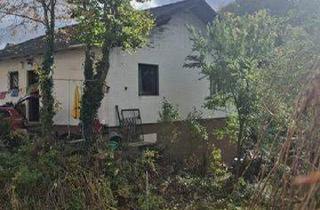 Grundstück zu kaufen in 3500 Krems an der Donau, Großes Grundstück mit Entwicklungspotenzial in Krems an der Donau!