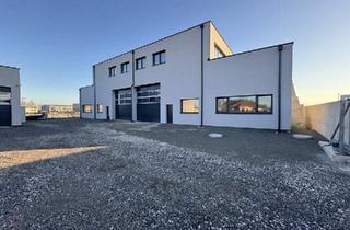 Büro zu mieten in 2442 Unterwaltersdorf, Flexible Lagerhalle mit Wohn-/Büroeinheiten und großem Freiflächenpotenzial – Unterwaltersdorf / Ebreichsdorf