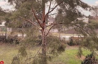 Wohnung mieten in 2454 Trautmannsdorf an der Leitha, Geräumige 4-Zimmer-Wohnung mit Loggia in Trautmannsdorf – Nähe Badesee!