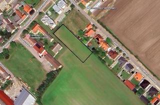 Grundstück zu kaufen in 7162 Tadten, Großes Grundstück in der Nationalparkgemeinde Tadten