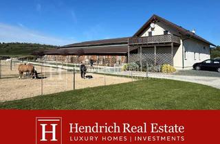 Gewerbeimmobilie kaufen in 7311 Neckenmarkt, Etablierter Reiterhof für bis zu 50 Pferde mit Reithalle im Blaufränkischland