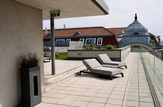 Penthouse mieten in 1130 Wien, Möblierte DG-Wohnung mit 186 m² Dachterrasse & Schönbrunn-Blick