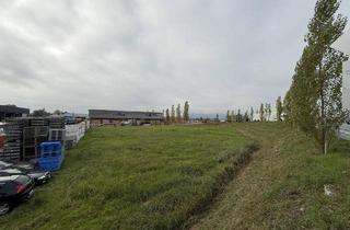 Grundstück zu kaufen in 6971 Hard, Perfekter Standort für Ihr Unternehmen - Betriebsbaugrund in Hard