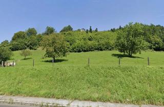 Grundstück zu kaufen in 4460 Losenstein, Aufgeschlossenes Baugrundstück in Losenstein zum Verkauf