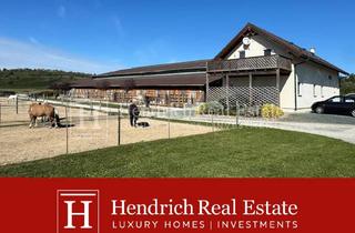 Lager kaufen in 7311 Neckenmarkt, Etablierter Reiterhof für bis zu 50 Pferde mit Reithalle im Blaufränkischland