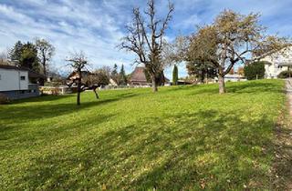 Grundstück zu kaufen in 6845 Hohenems, Baugrundstück am Fuße von Schloss Glopper - Grundstück 3