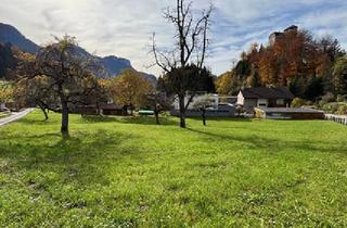 Grundstück zu kaufen in 6845 Hohenems, Baugrundstück am Fuße von Schloss Glopper - Grundstück 2