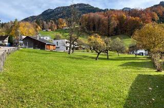 Grundstück zu kaufen in 6845 Hohenems, Baugrundstück am Fuße von Schloss Glopper - Grundstück 1
