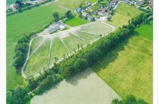 Gewerbeimmobilie kaufen in Pferdegestüt, 4910 Ried im Innkreis, Pferdegestüt mit Wohnhaus Nähe Ried (Oberösterreich) zu verkaufen