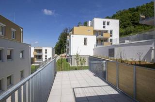 Wohnung mieten in Wienerwaldstraße, 3033 Altlengbach, ERSTBEZUG: moderne Wohnung mit großer Terrasse