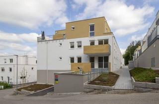 Wohnung mieten in Wienerwaldstraße, 3033 Altlengbach, ERSTBEZUG: schöne Wohnung mit Grünblick und Garagenabstellplatz