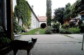 Wohnung mieten in 2410 Hainburg an der Donau, Innenhofwohnung beim Wienertor innerhalb der Stadtmauer