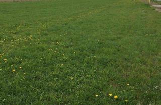 Grundstück zu kaufen in 8741 Baumkirchen, ** Baugrund in Weißkirchen - 1.959 m² in Top Lage ++