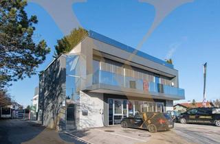 Büro zu mieten in 4050 Traun, Hochwertige Büro- und Lagerflächen samt Rolltore in Traun zu vermieten! (Miet-/Kaufoption möglich!)