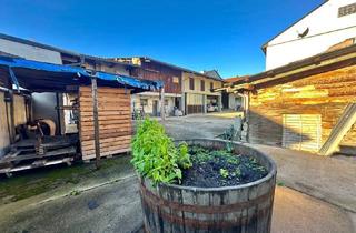 Haus kaufen in 2162 Falkenstein, Wein trifft Wohnen: Traditionelles Winzerhaus im Herzen Falkensteins!