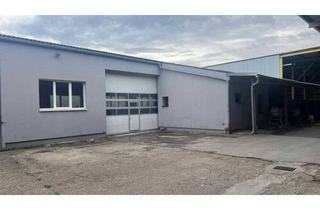 Büro zu mieten in 2135 Neudorf bei Staatz, Großzügige Halle in Neudorf: 250m² für nur 890€/Monat – ideal für Ihr Gewerbe!