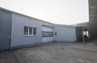 Büro zu mieten in 2135 Neudorf bei Staatz, Attraktive Gewerbehalle in Neudorf – 250 m² für nur 890 € mtl. mieten!