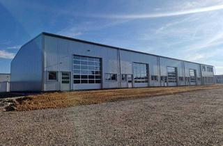 Gewerbeimmobilie mieten in 2136 Laa an der Thaya, Neuwertige Gewerbehalle in Laa an der Thaya – 100m² & vieles mehr!