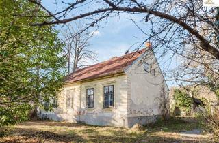 Haus kaufen in 2823 Pitten, Traumhafte Liegenschaft in Pitten – Großzügiges Bauland mit charmantem Altbestand