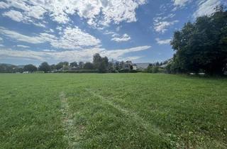 Grundstück zu kaufen in 5081 Anif, 1.100 m² BAUGRUND IN ANIF