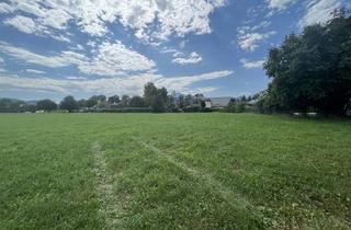 Grundstück zu kaufen in 5081 Anif, 1.100 m² BAUGRUND IN ANIF