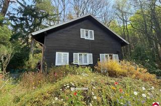 Haus kaufen in 3032 Stein, Idyllisches Ferienhaus in Stein: 90m² mit Terrasse und Pool im Grünen!