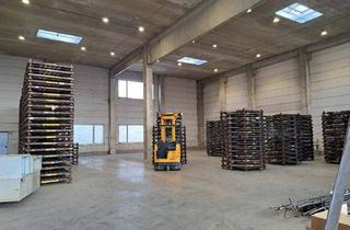 Gewerbeimmobilie mieten in 1230 Wien, 1.300 m² LOGISTIKHALLE MIT RAMPEN