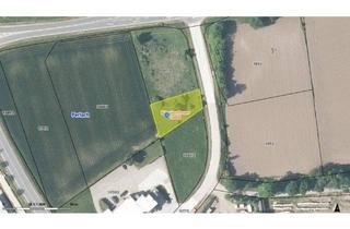 Grundstück zu kaufen in 9162 Kirschentheuer, Gutgelegenes Gewerbegrundstück in Kirschentheuer/Ferlach