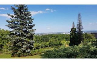 Grundstück zu kaufen in Kriegsherrgasse 22, 2380 Perchtoldsdorf, Seltene Gelegenheit: Winzerhaus auf uneinsehbarem Grundstück | ZELLMANN IMMOBILIEN