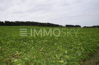 Grundstück zu kaufen in 4030 Linz, 3-Familen-Wohntraum Linz/Ebelsberg - grandioses Potenzial