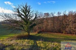 Grundstück zu kaufen in 8010 Kainbach, Baugrundstück mit landwirtschaflicher Nutzfläche!