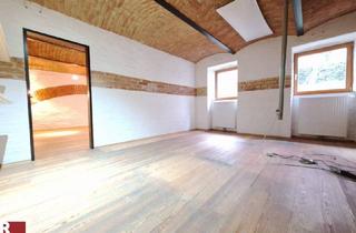 Gewerbeimmobilie kaufen in 1180 Wien, Exklusives Loft in 1180 Wien: 828m² für Büro oder Praxis mit Garten und Terrasse!