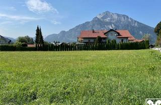 Grundstück zu kaufen in 5081 Anif, Traumhaftes Grundstück in Toplage für ein Einfamilienhaus