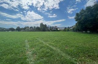 Grundstück zu kaufen in 5081 Anif, 1.100 m² BAUGRUND IN ANIF