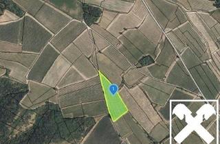 Grundstück zu kaufen in 3550 Langenlois, GUT BEWIRTSCHAFTETER WEINGARTEN IN HERRLICHER LAGE - WEINGARTEN, LANDWIRTSCHAFTLICHE FLÄCHEN - KEIN BAUGRUNDSTÜCK!