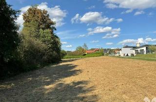 Grundstück zu kaufen in 8504 Preding, Baugrundstück mit angrenzender landwirtschaftlicher Fläche nahe Preding
