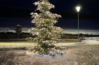 Wohnung mieten in 6306 Söll, Der HIT in Söll