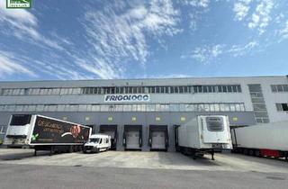 Büro zu mieten in 2326 Maria-Lanzendorf, Hochwertige Gewerbefläche mit 15 Parkplätzen in 2326 Maria Lanzendorf – Industriestraße: ab sofort verfügbar - JETZT ANFRAGEN